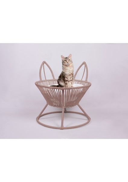 Kedi & Köpek Yatağı