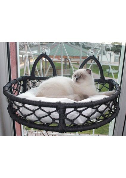 Kedi Cam Yatağı & Kedi Yatağı & Vantuzlu Kedi Yatağı