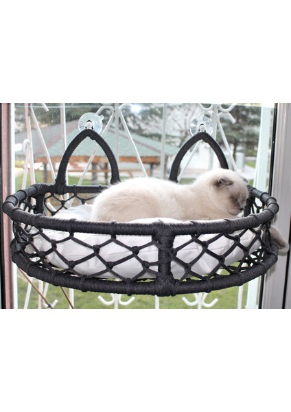 Kedi Cam Yatağı & Kedi Yatağı & Vantuzlu Kedi Yatağı fiyatları