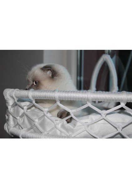 Kedi Cam Yatağı & Vantuzu Cam Yatağı & Kedi Yatağı & Kedi Cam Yatağı indirimleri