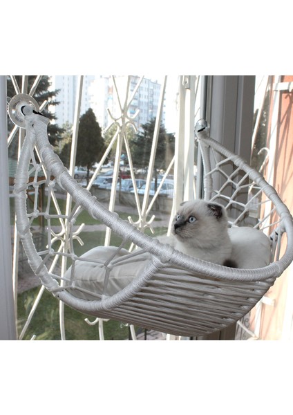 Kedi Cam Yatağı & Güçlü Vantuzlu Kedi Cam Yatağı