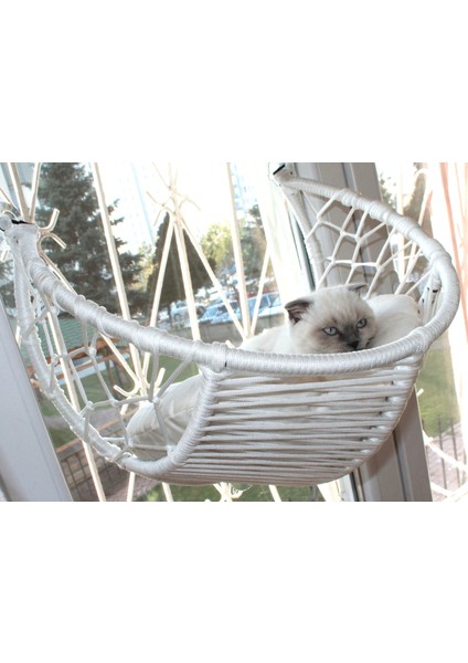 Kedi Cam Yatağı & Güçlü Vantuzlu Kedi Cam Yatağı fiyatları