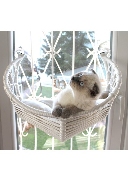 Kedi Cam Yatağı & Güçlü Vantuzlu Kedi Cam Yatağı modelleri