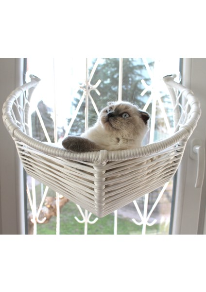 Kedi Cam Yatağı & Güçlü Vantuzlu Kedi Cam Yatağı fırsatları