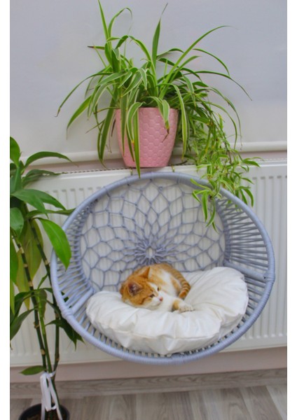 Kedi Kalorifer Petek Yatağı