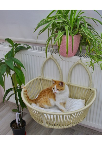 Kedi Kalorfier Askılı Yatak