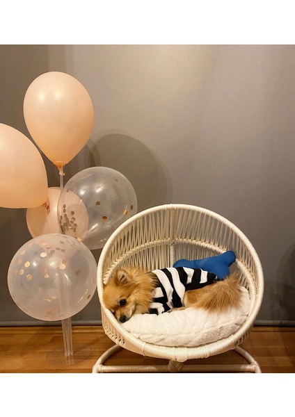 Kedi Yatağı fiyatları