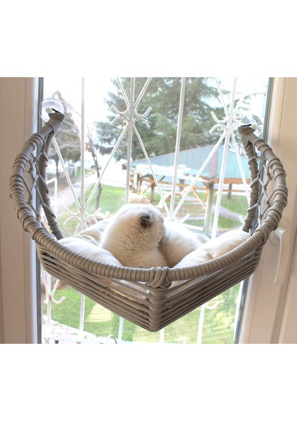 Kedi Cam Yatağı & Cam Askılı Vantuzlu Kedi Yatağı fiyatları