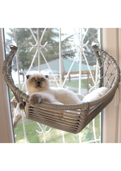 Kedi Cam Yatağı & Cam Askılı Vantuzlu Kedi Yatağı fırsatları