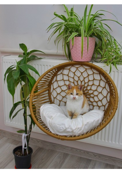 Kedi Köpek Kalorifer Askılı Yatak modelleri