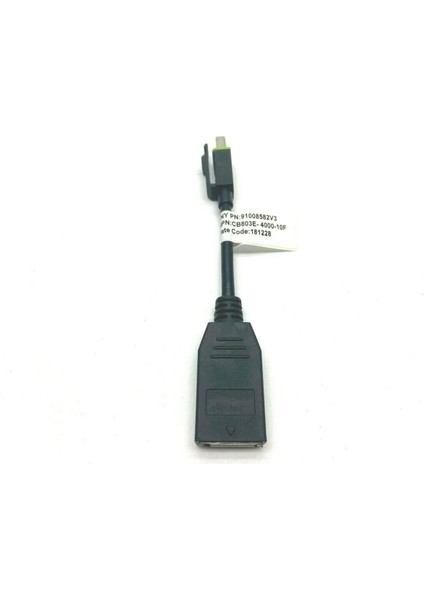 Minidisplayport Displayport Çevirici Mini Displayport Displayport Çevirici 13 cm Mini Dp Dp Çevirici