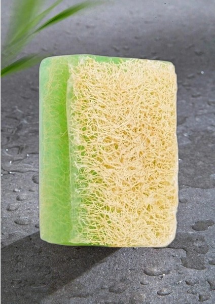 Doğal Kabak Lifli Aloe Vera Sabunu 130 gr fiyatları