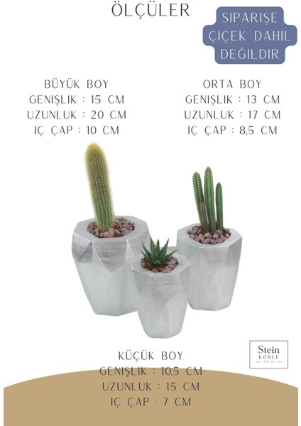 Çiçek Saksısı Büyük Boy 3 Adet Gümüş Renk Uygulamalı Uzun Poly Model