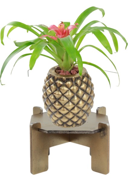 Ayaklı Saksı Ahşap Büyük Boy 1 Adet Altın Renk Eskitme Uygulamalı Ananas Model