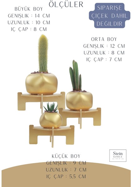 Ayaklı Saksı Ahşap Büyük Boy 3 Adet Altın Renk Uygulamalı Spiral Oval Model