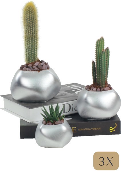 Çiçek Saksısı Büyük Boy 3 Adet Gümüş Renk Uygulamalı Spiral Oval Model