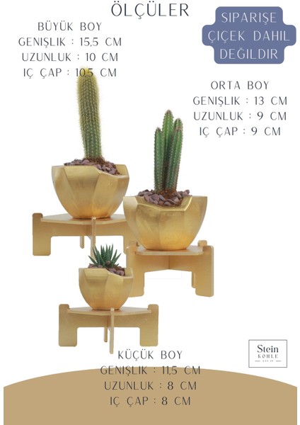 Ayaklı Saksı Ahşap Büyük Boy 3 Adet Altın Renk Uygulamalı Önü Açık Model