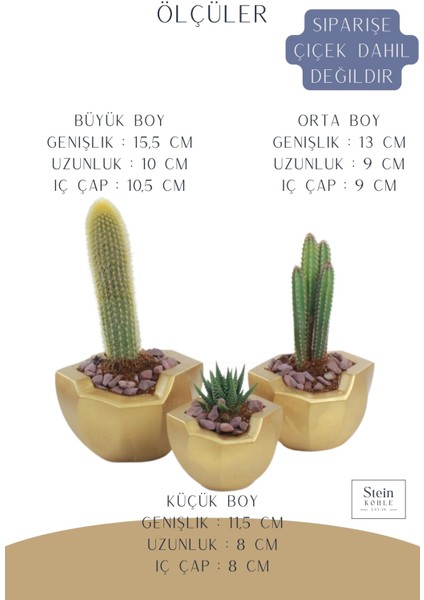 Çiçek Saksısı Büyük Boy 3 Adet Altın Renk Uygulamalı Önü Açık Model
