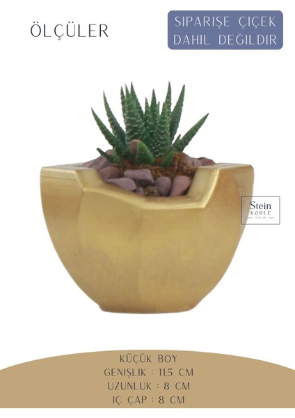 Çiçek Saksısı Dekoratif Kaktüs Saksı 1 Adet Altın Renk Uygulamalı Önü Açık Model fiyatları