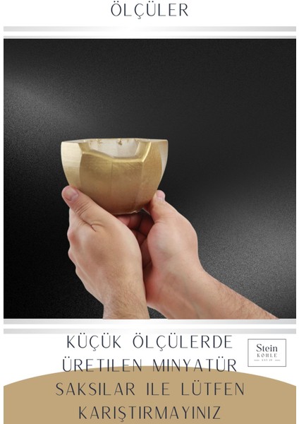 Çiçek Saksısı Dekoratif Kaktüs Saksı 1 Adet Altın Renk Uygulamalı Önü Açık Model modelleri