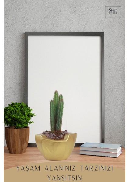 Çiçek Saksısı Dekoratif Kaktüs Saksı 1 Adet Altın Renk Uygulamalı Önü Açık Model fırsatları