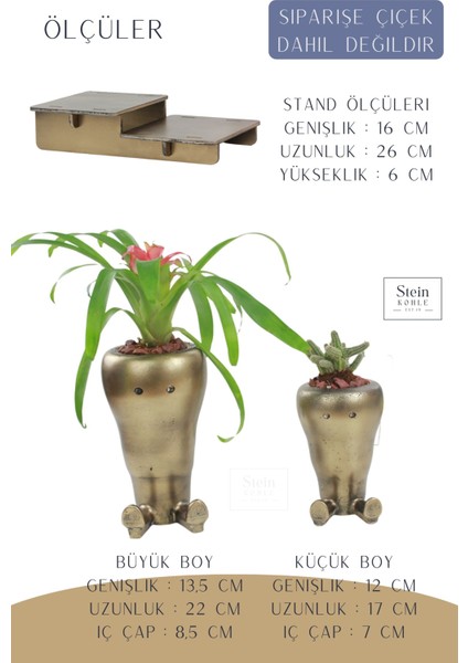 Ayaklı Saksı Ahşap Büyük Boy 2 Adet Altın Renk Eskitme Uygulamalı Havuç Model