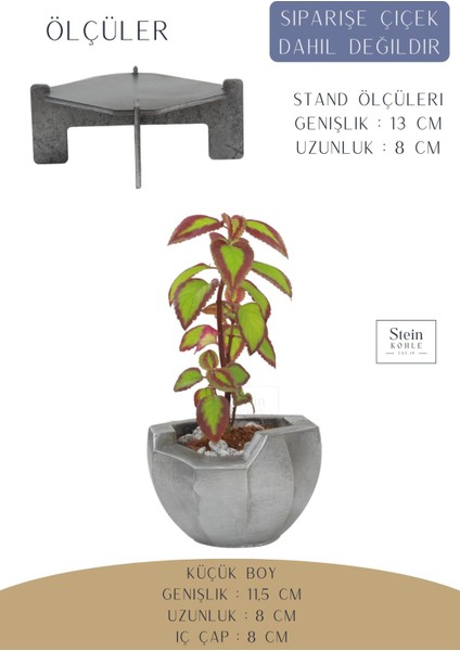 Ayaklı Saksı Ahşap Dekoratif Kaktüs Saksısı 1 Adet Gümüş Renk Eskitme Uygulamalı Önü Açık Model