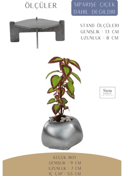 Ayaklı Saksı Ahşap Dekoratif Kaktüs Saksısı 1 Adet Gümüş Renk Eskitme Uygulamalı Spiral Oval Model