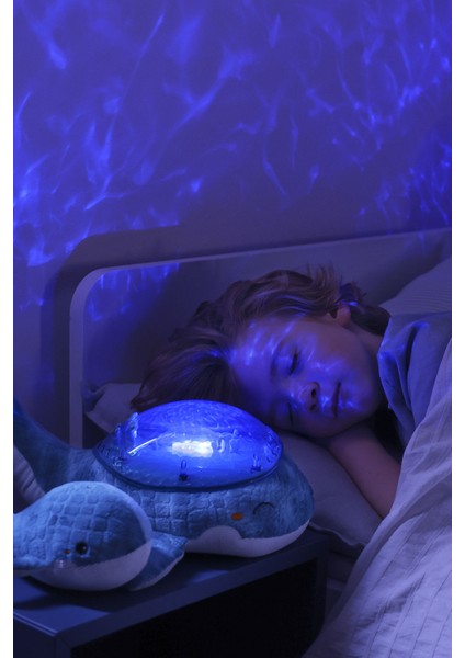 Tranquil Whale™ -Blue Family indirimleri