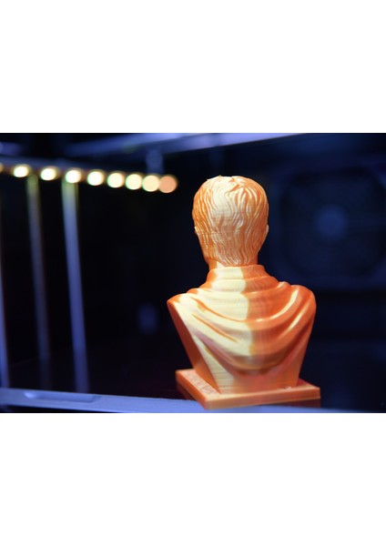 Harry Potter Büst 12 cm fiyatları