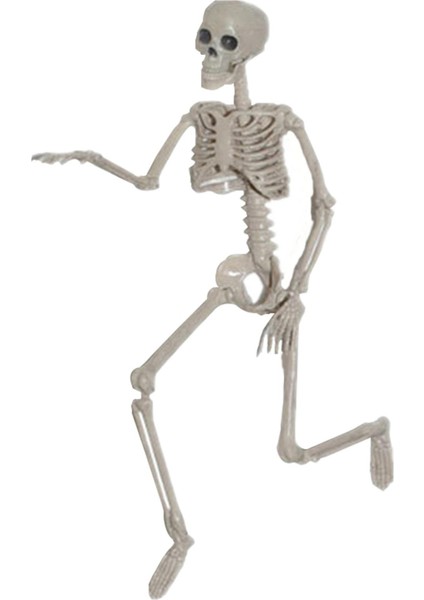 Iskelet Gövdesi H 90CM (Yurt Dışından)