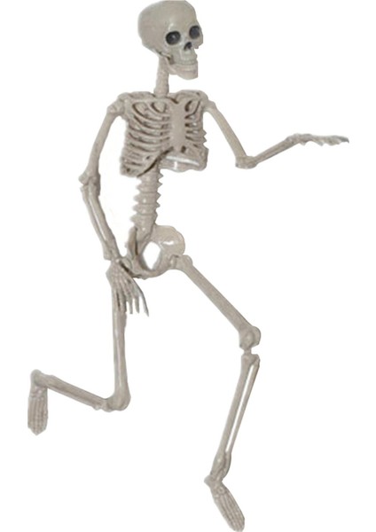 Iskelet Gövdesi H 90CM (Yurt Dışından) fiyatları