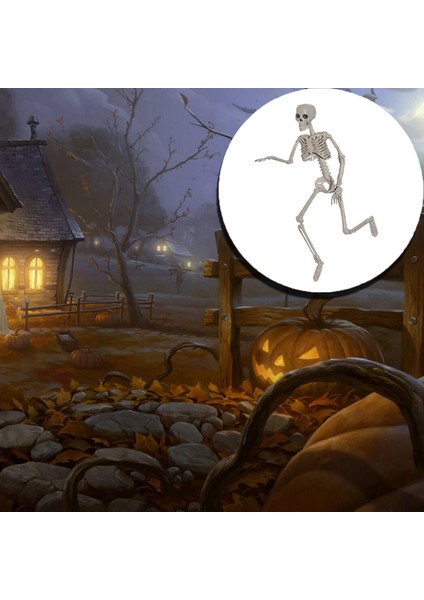 Iskelet Gövdesi H 90CM (Yurt Dışından) indirimleri