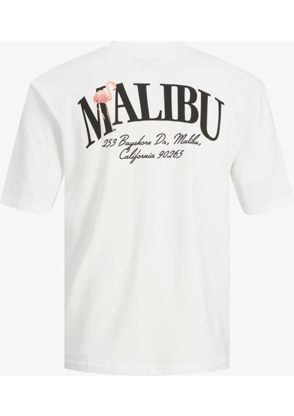 Jorpalma Dry Tee Ss Crew Neck Beyaz Erkek T-Shirt 12234293-Brigh