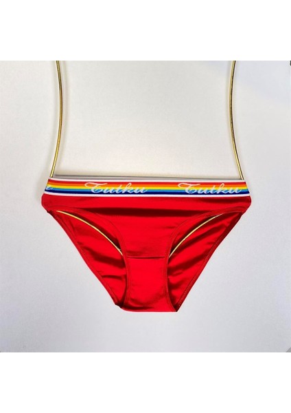 12 'li Hazal Bayan Elastan Bikini Külot Kombin fiyatları