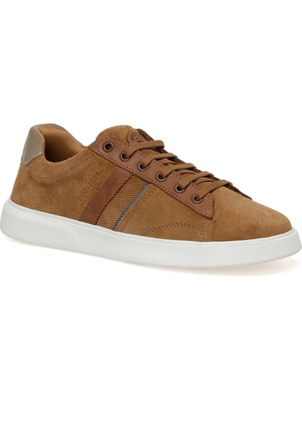 234225 3fx Taba Erkek Sneaker fiyatları