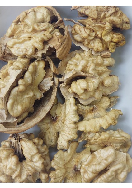 Yerli Ince Kabuklu Ceviz Beyaz Kelebek Iç Yeni Mahsul modelleri