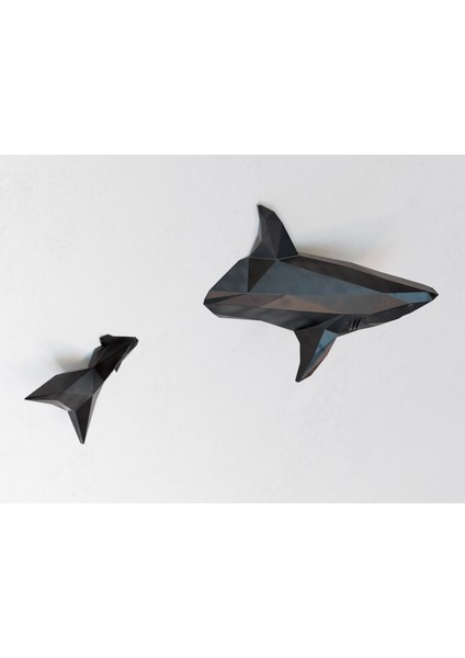 Köpek Balığı Duvar Dekoru 40 cm Genişlik modelleri