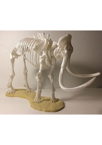 Mamut Iskeleti Heykel 20 cm