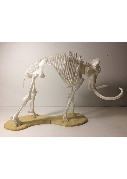 Mamut Iskeleti Heykel 20 cm fiyatları