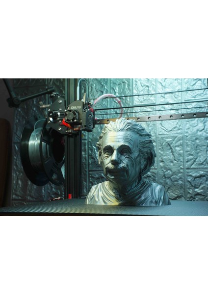 Albert Einstein 10 cm Büst modelleri