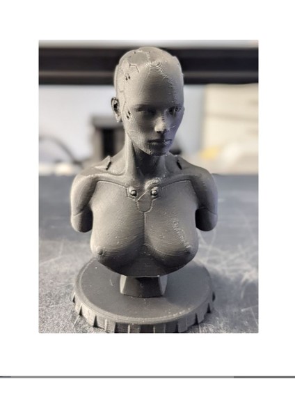 Ex Machina Robot Büst 10CM
