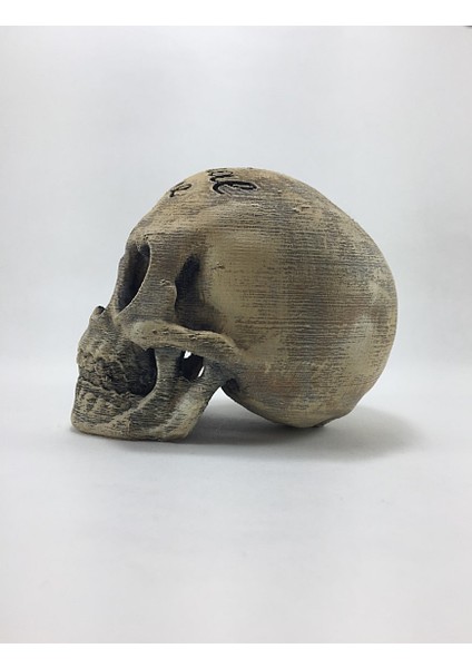 My Eternal Love Yazılı Kafatası Figür 10 cm x 13 cm fırsatları