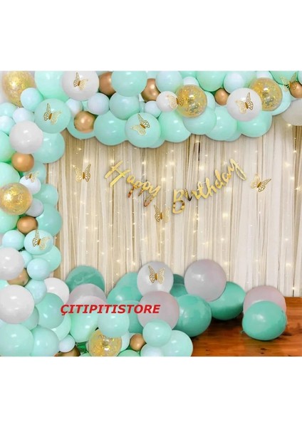 Lüks Doğum Günü Balon Konsepti