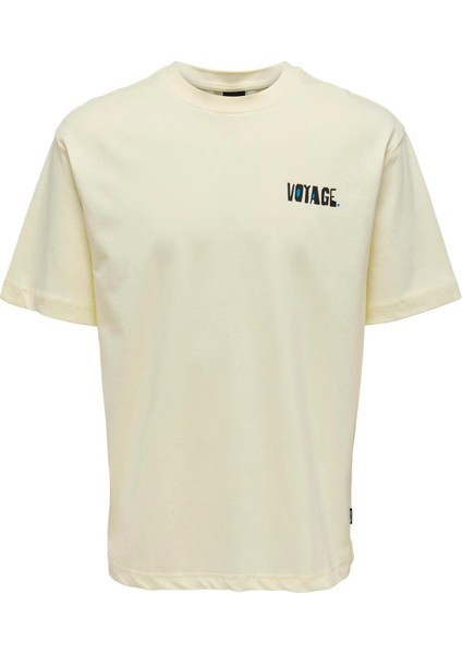 Only & Sons Onspılot Rlx Summer Ss Tee Erkek Tişört - 22025301