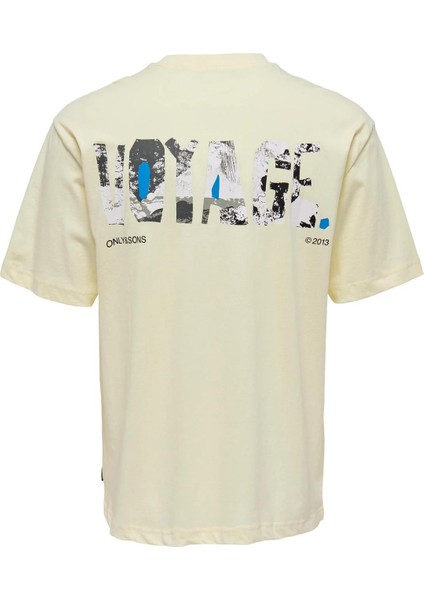 Only & Sons Onspılot Rlx Summer Ss Tee Erkek Tişört - 22025301 fiyatları