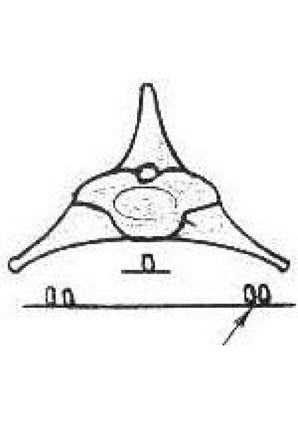 Star Ranger Uzay Gemisi Plastik Aparat modelleri