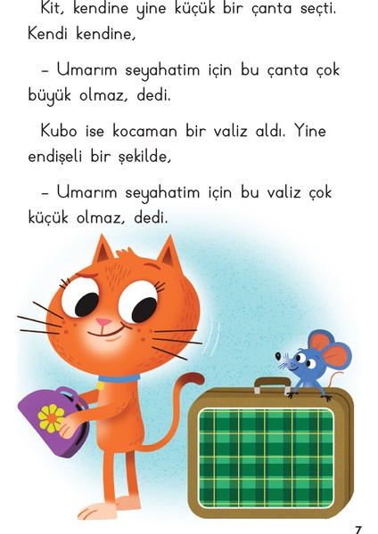 Kit ve Kubo İlk Uçak Seyahati