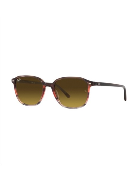 Rayban Rb 2193(LEONARD)1380/85 53 Güneş Gözlüğü