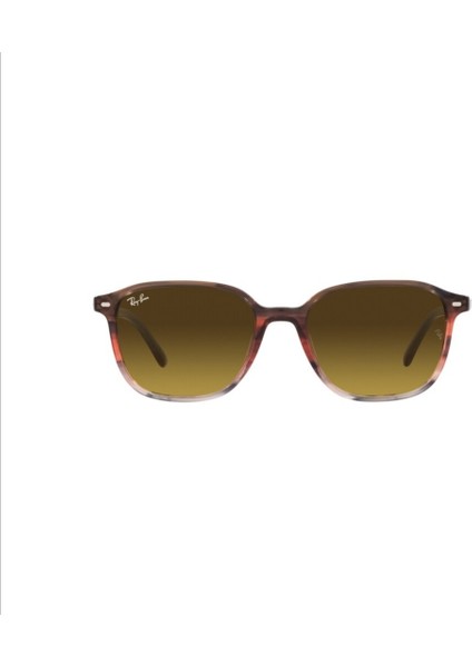 Rayban Rb 2193(LEONARD)1380/85 53 Güneş Gözlüğü fiyatları